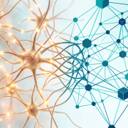 Mente Umana e Cervello Digitale: La Nuova Frontiera dell'Intelligenza Ibrida nel 2026