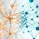 Mente Umana e Cervello Digitale: La Nuova Frontiera dell'Intelligenza Ibrida nel 2026